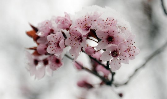 meteoroloji yanilmadi havalar isiniyor ileri gazetesid