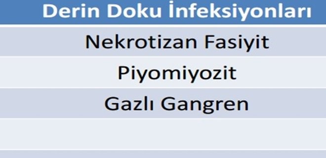 miyozit nedir piyomiyozit nedirzit