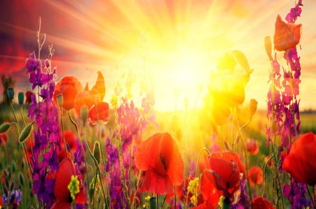 hidirellez duasi nasildir hidirellezde nasil dilek tutulur