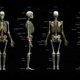 Kemik yapısını inceleyen bilim dalı