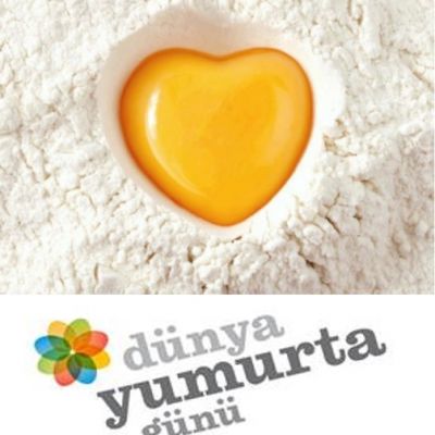 DÃ¼nya Yumurta GÃ¼nÃ¼