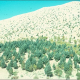 Ağaçlandırmanın Tarihçesi (history of afforestation)