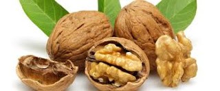 ceviz yetistiriciligi hakkinda genel bilgiler