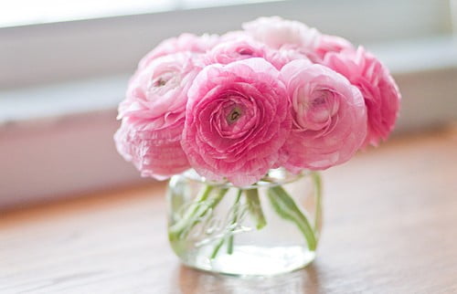 hediye edilen ciceklerin daha uzun omurlu olmasi icin ne yapmaliyiz