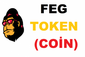 FEG Coin Nedir, Feg Token Geleceği ve Yorumları. FEG Token (FEG) Fiyatı