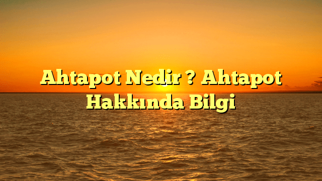 Ahtapot Nedir ? Ahtapot Hakkında Bilgi