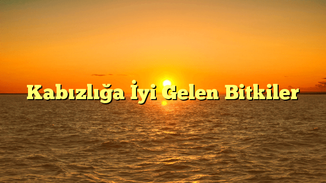 Kabızlığa İyi Gelen Bitkiler