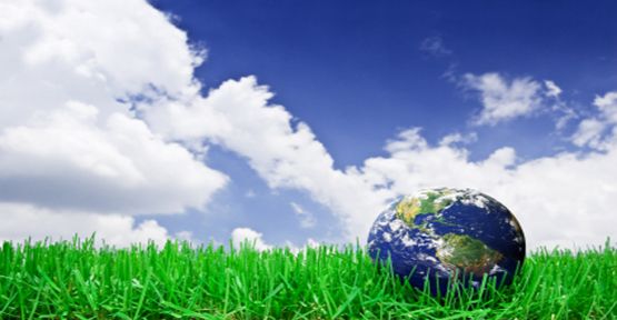 ekolojiekoloji nedir h