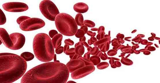 hedefe yonelik ilachedefe yonelik ilac nedirhedefe yonelik ilac hakkinda bilgi h