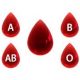 Kan gruplarına göre karakter tahlili