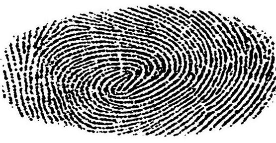 parmak izi nedirparmak izi hakkinda detayli bilgi h