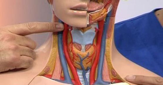 sah damari nedirsah damari hakkinda detayli bilgi h