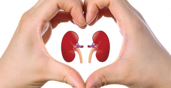 bobregimi satmak istiyorum yasal mi suc mu fikirogretmenin