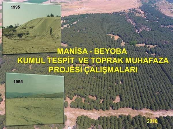 kumul agaclandirmalari