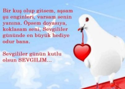 subat sevgililer gunu mesajlari en guzel ask sozleri kisa smsler kutlama mesaji polis haber